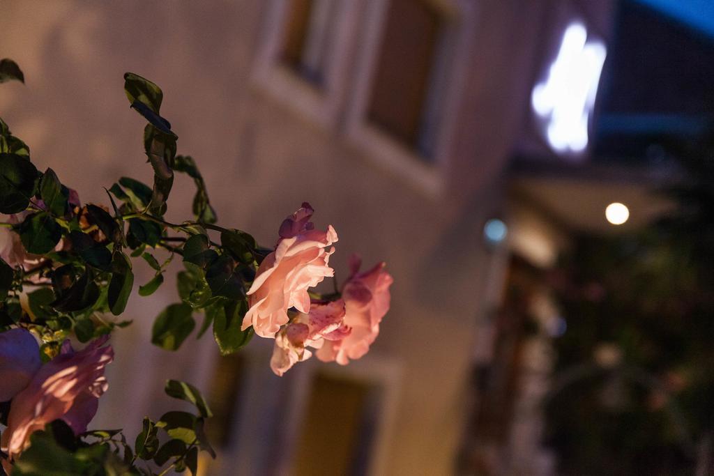 Anikol Apartments Selce Kültér fotó